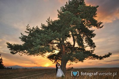 Fotograf na wesele: Marek, Rabka-Zdrój - portfolio