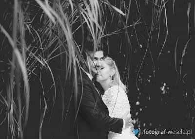 Fotograf na wesele: Sylwia, Sosnowiec - portfolio