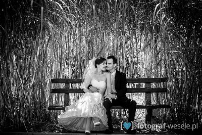 Fotograf na wesele: Krystian, Katowice - portfolio