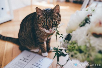 Kamila - fotograf Warszawa