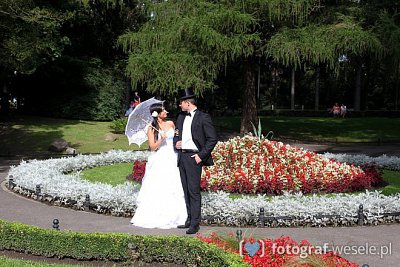 Fotograf na wesele: Mirosław, Kwidzyn - portfolio