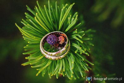 Tadeusz - fotograf Zakopane
