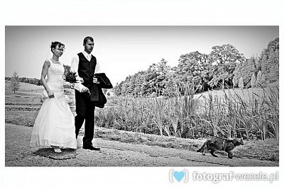 Fotograf na wesele: Andrzej, Bydgoszcz - portfolio