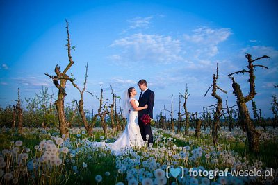 Franciszek - fotograf Nowa Sól