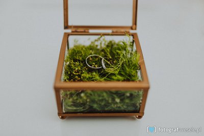 Fotograf na wesele: Łukasz, Bielsko-Biała - portfolio