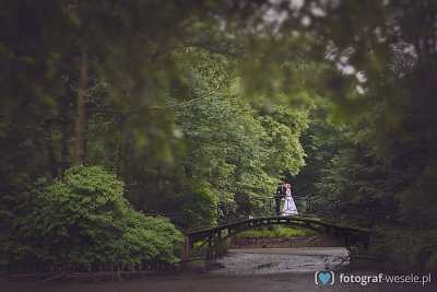 Fotograf na wesele: Wojtek, Sosnowiec - portfolio