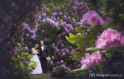 Wojtek - fotograf Sosnowiec