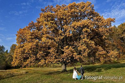 Wojtek - fotograf Warszawa