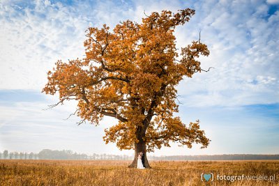 Fotograf Emil, Koszalin - fotografia weselna - Polanów