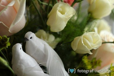 Jan - fotograf Warszawa