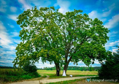 Adam - fotograf Olsztyn