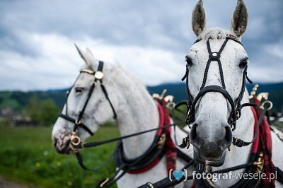 Michał - fotograf Zakopane