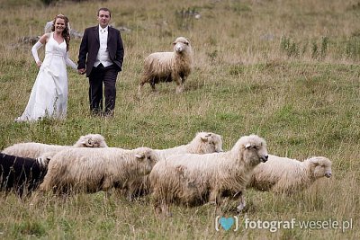 Fotograf Wojciech, Łódź - Wesele zdjęcia - Rzgów