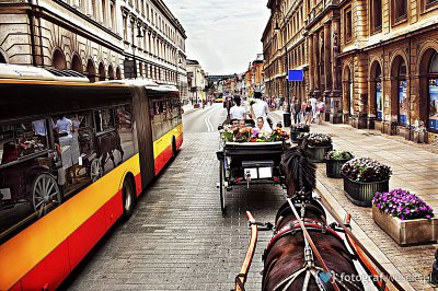 Paweł - fotograf Ostrowiec Świętokrzyski