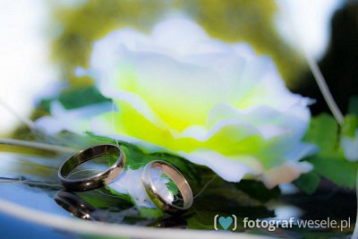 Fotograf na wesele: Krzysztof, Kraków - portfolio