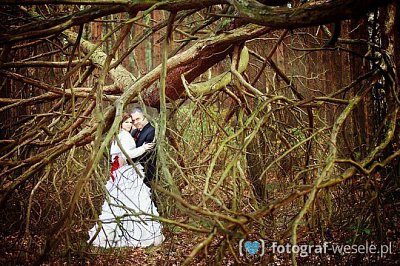 Fotograf na wesele: Magdalena, Bydgoszcz - portfolio