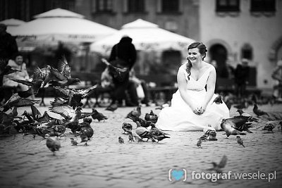 Fotograf na wesele: Adam, Brwinów - portfolio