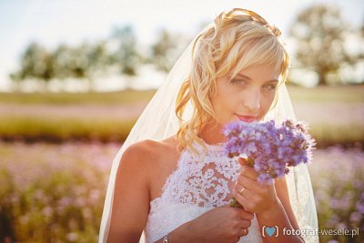 Dawid - fotograf Drawsko Pomorskie