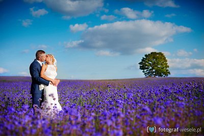 Dawid - fotograf Drawsko Pomorskie