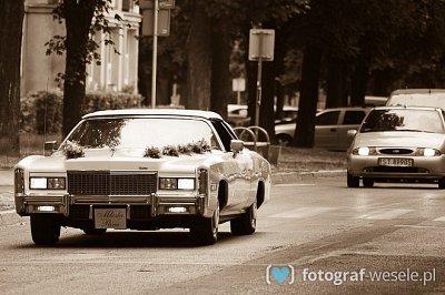 Fotograf na wesele: Grzegorz, Goczałkowice-Zdrój - portfolio