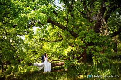 Fotograf Iwona, Konin - fotografia slub - Strzałkowo