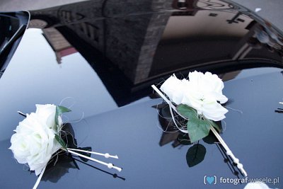 Fotograf Konrad, Zgierz - zdjecia na ślub - Rydułtowy