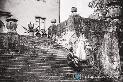 Fotograf na wesele: Dariusz, Bielsko-Biała - portfolio