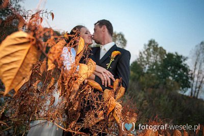 Fotograf Andrzej, Oświęcim - fotograf na ślub - Kryspinów