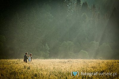 Zielona Kropka - fotograf Andrychów