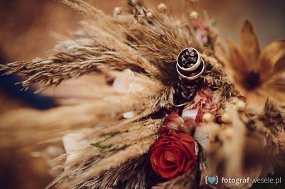 Fotograf na wesele: Aneta, Jeżowe - portfolio