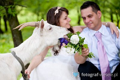 mariola - fotograf Dzięgielów