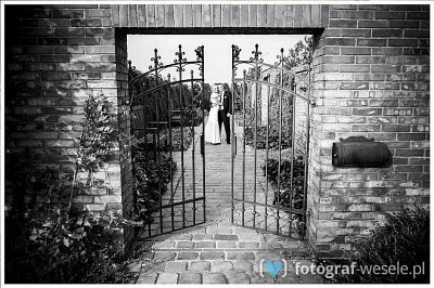 Dariusz - fotograf Pszczyna