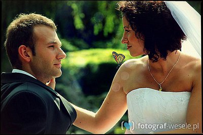 Fotograf na wesele: Piotr, Wrocław - portfolio