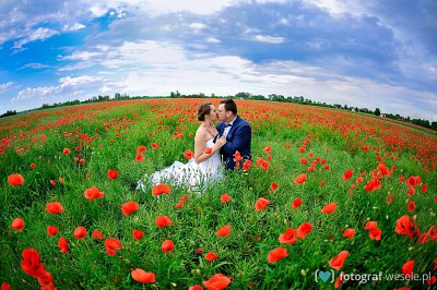 Fotograf na wesele: Krzysztof, Mielec - portfolio