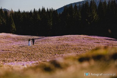 Fotograf na wesele: Robert, Bochnia - portfolio