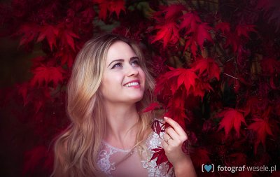 Fotograf na wesele: Krzysztof, Wrocław - portfolio