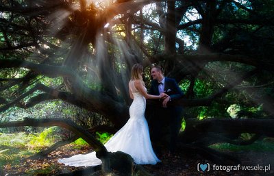 Fotograf Krzysztof, Wrocław - fotograf na wesele - Zielona Góra