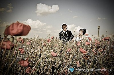 Fotograf na wesele: Grzegorz, Chełm - portfolio