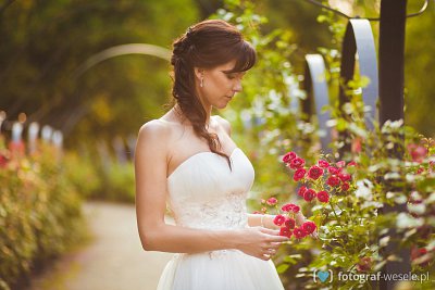 Fotograf na wesele: Tomasz, Wejherowo - portfolio