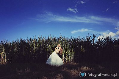 Fotograf na wesele: Wojciech, Białystok - portfolio