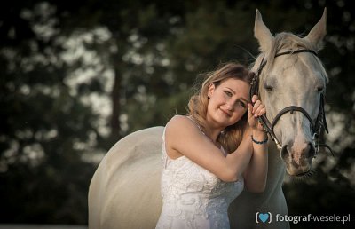 Fotograf na wesele: Tomasz, Pleszew - portfolio