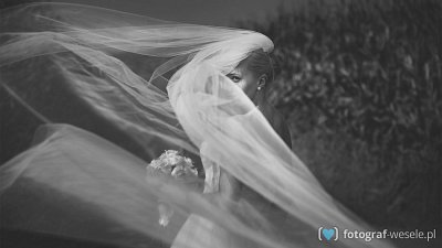 Fotograf na wesele: Wojtek, Katowice - portfolio