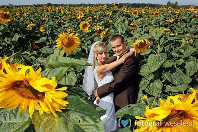 Fotograf na wesele: Mariusz, Warszawa - portfolio