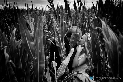 Fotograf na wesele: Robert, Kalisz - portfolio