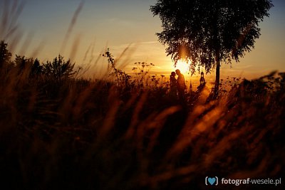 Fotograf na wesele: Michał, Częstochowa - portfolio