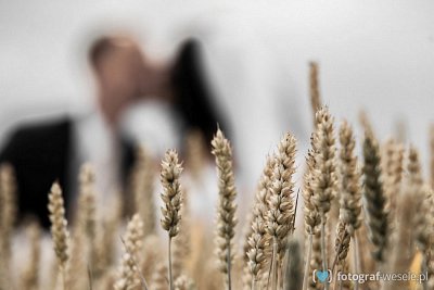 Bartosz - fotograf Poznań