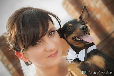 Fotograf na wesele: Paweł, Toruń - portfolio