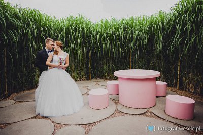 Fotograf Maciej, Sosnowiec - zdjęcia na slub - Wojkowice