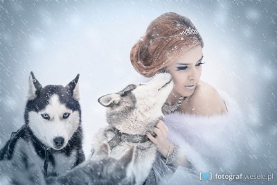 Fotograf na wesele: Robert, Zakopane - portfolio