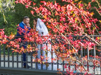 MIROSŁAW - fotograf Zielona Góra